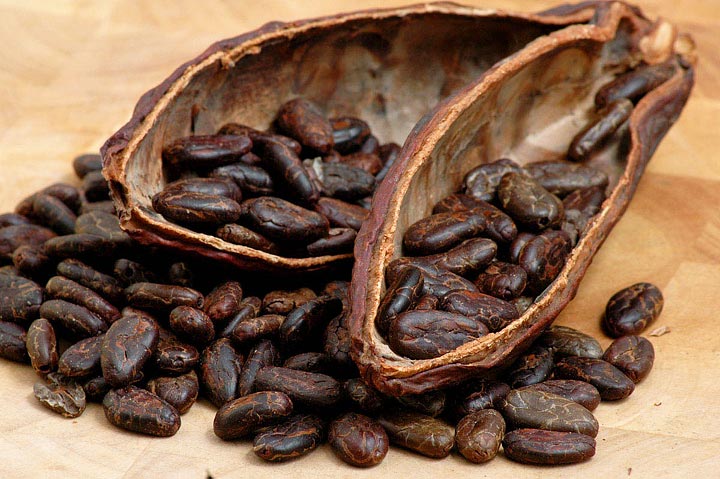 Cacao - Super Food Full of Antioxidants