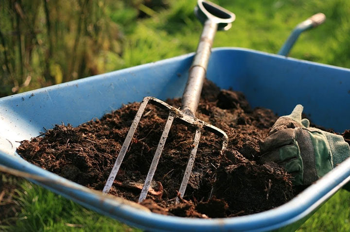 Compost - a Recipe for Success!