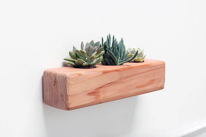 DIY – Succulent Planter