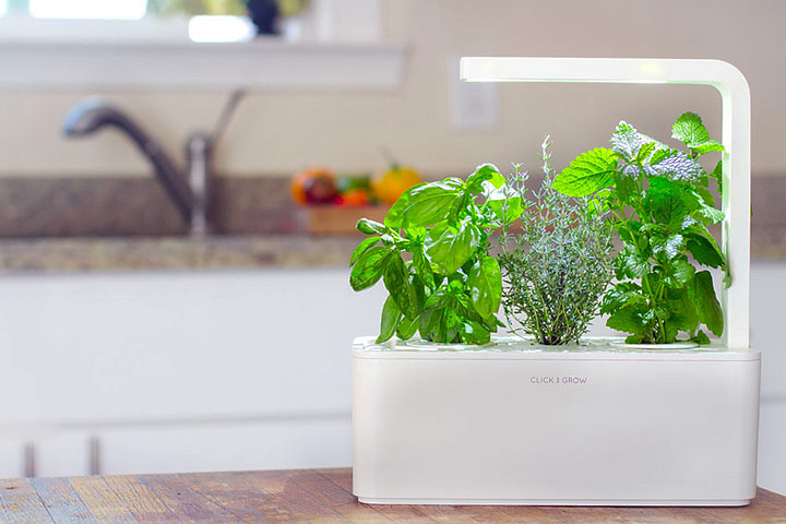 Click and Grow – Smart Herb Garden