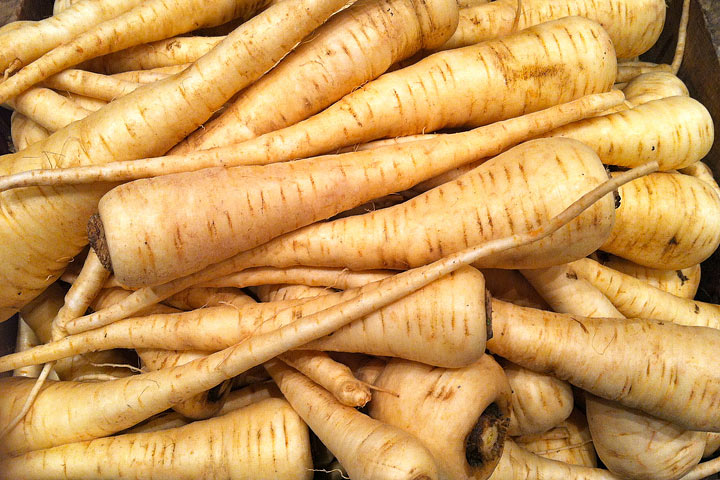 Parsnips - Growing Guide