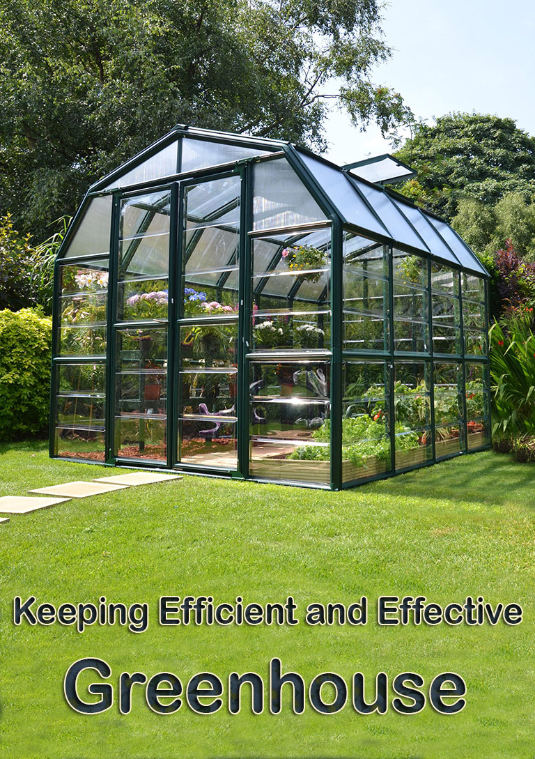 How to Keep Efficient and Effective Greenhouse