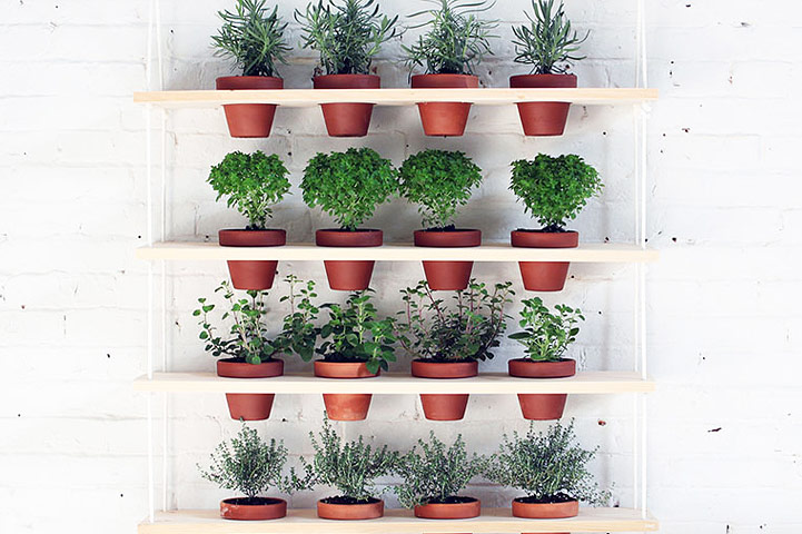 DIY Hanging Vertical Garden