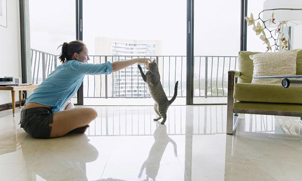 8 Things People Do That Cats Hate