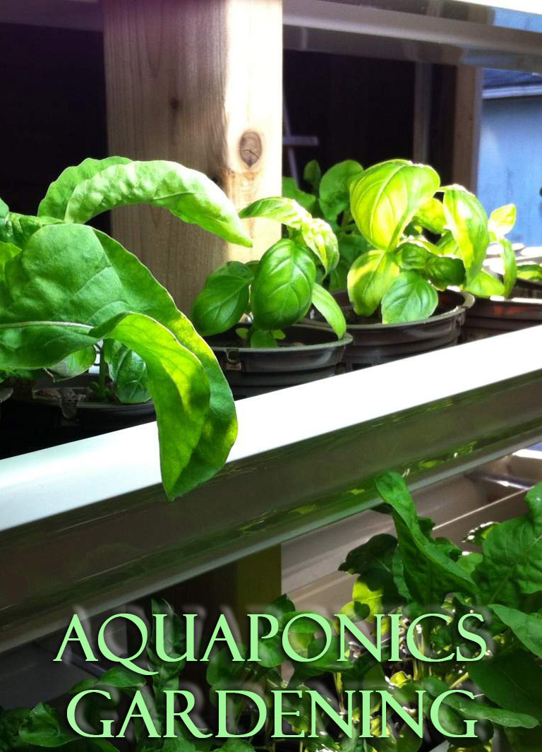 What is Aquaponics Gardening?