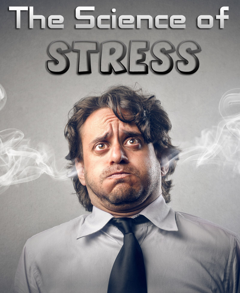 The Science of Stress