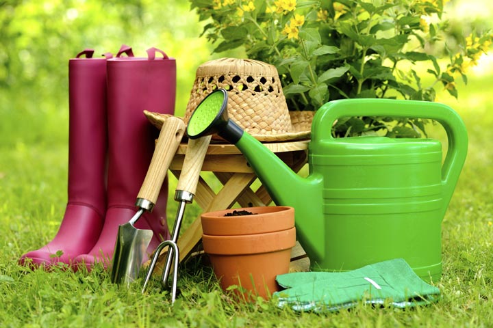 8 Tips for Gardeners in June