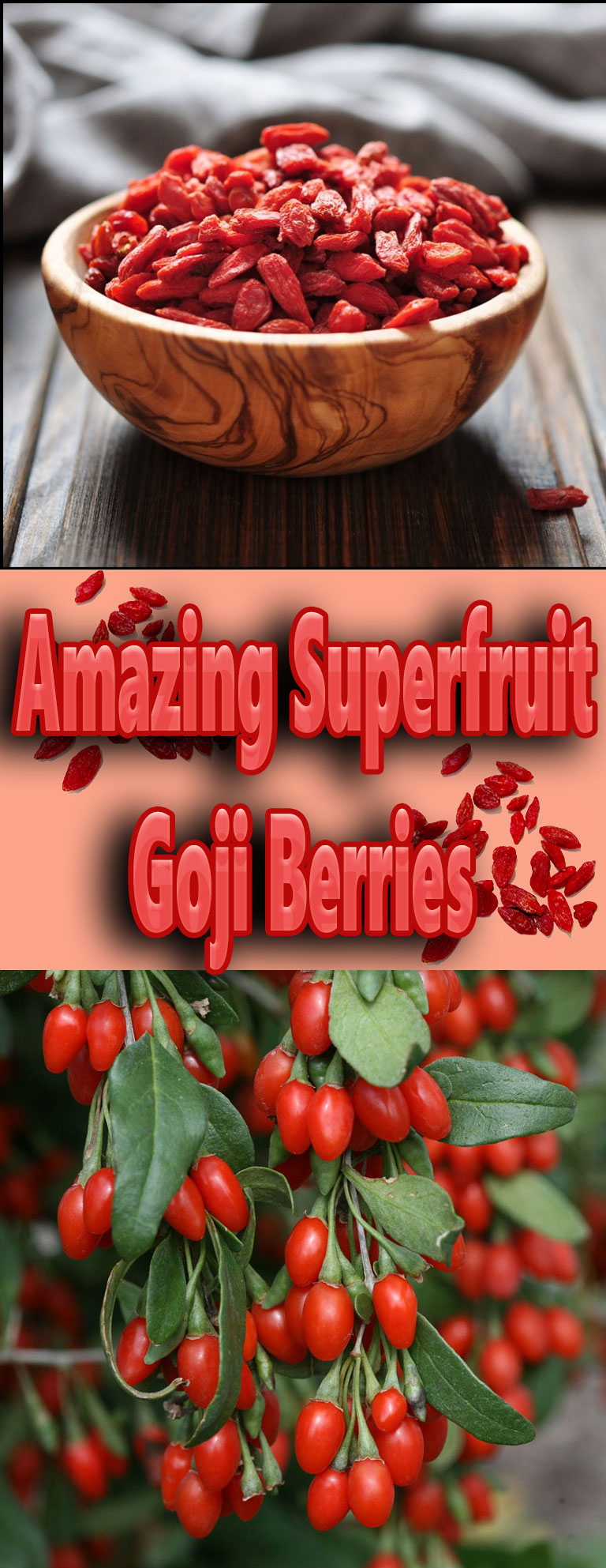 Amazing Superfruit - Goji Berries