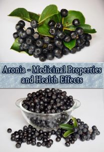 Aronia - Medicinal Properties And Health Effects