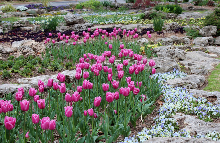Beautiful Rock Garden Ideas
