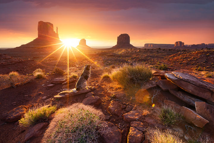 Photographer Julien Grondin Travels the World to Capture Sunrise