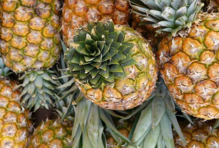 Quiet CornerPineapple Health Benefits Quiet Corner