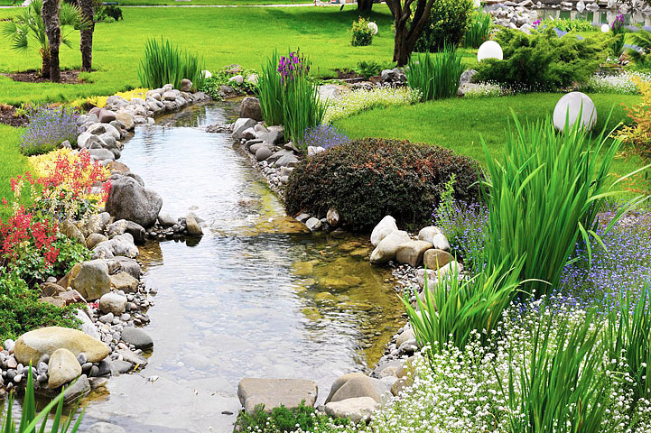 Planting Combination for the Water Garden