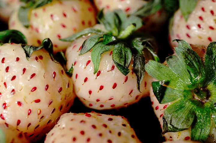 Pineberries – Growing Guide