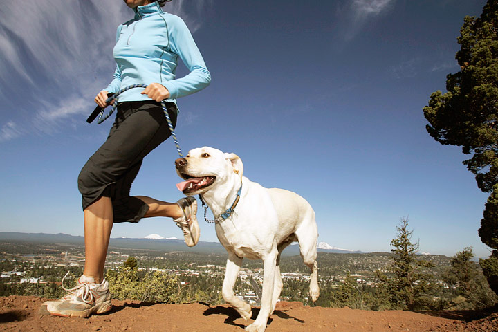 The Dos and Don’ts of Running With Your Dog