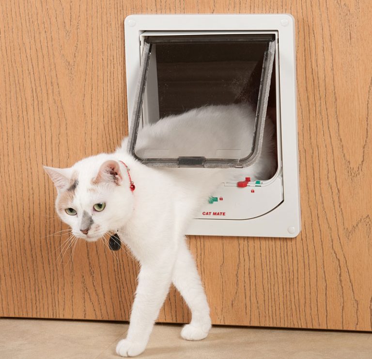 Quiet CornerHow to Install a Pet Door Quiet Corner