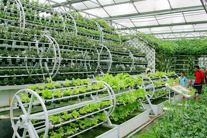 What is Aquaponics Gardening?