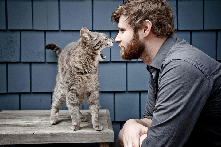8 Things People Do That Cats Hate