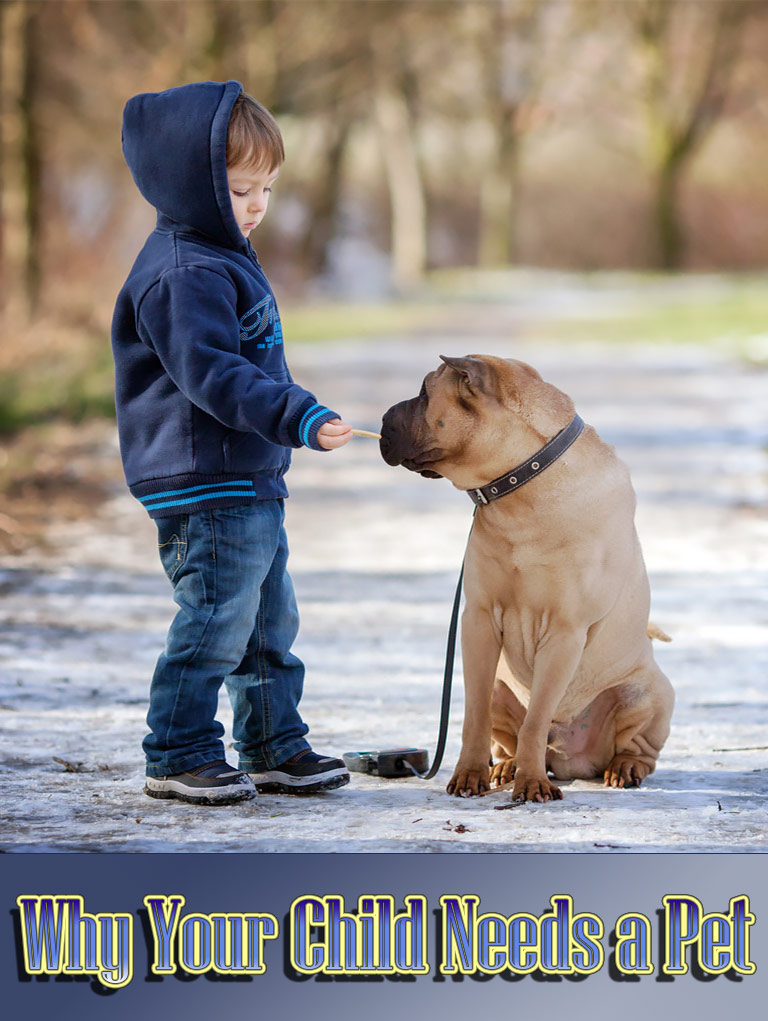 Surprising Reasons Why Your Child Needs a Pet
