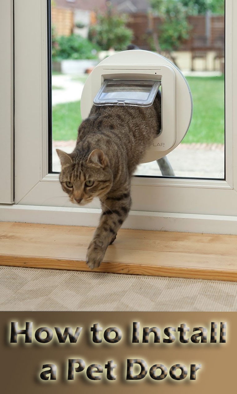 Installing A Cat Door Youtube Installing A Cat Door Youtube