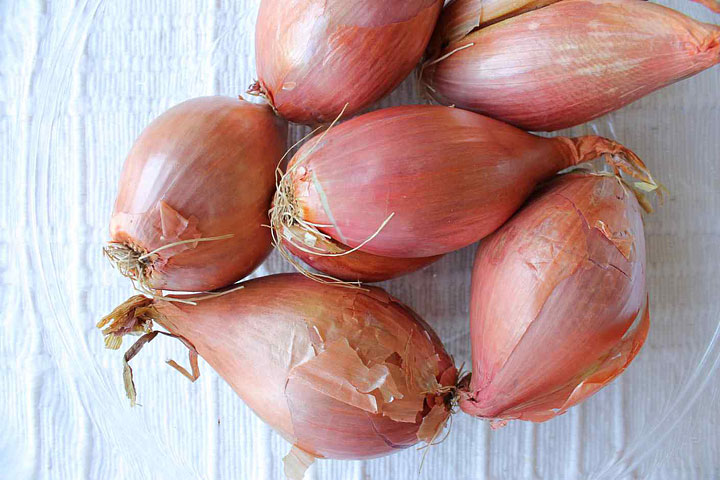 Shallots - Growing Guide