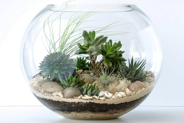 Everything You Need to Know About Making Terrarium