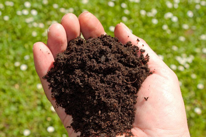 How to Make Organic Soil