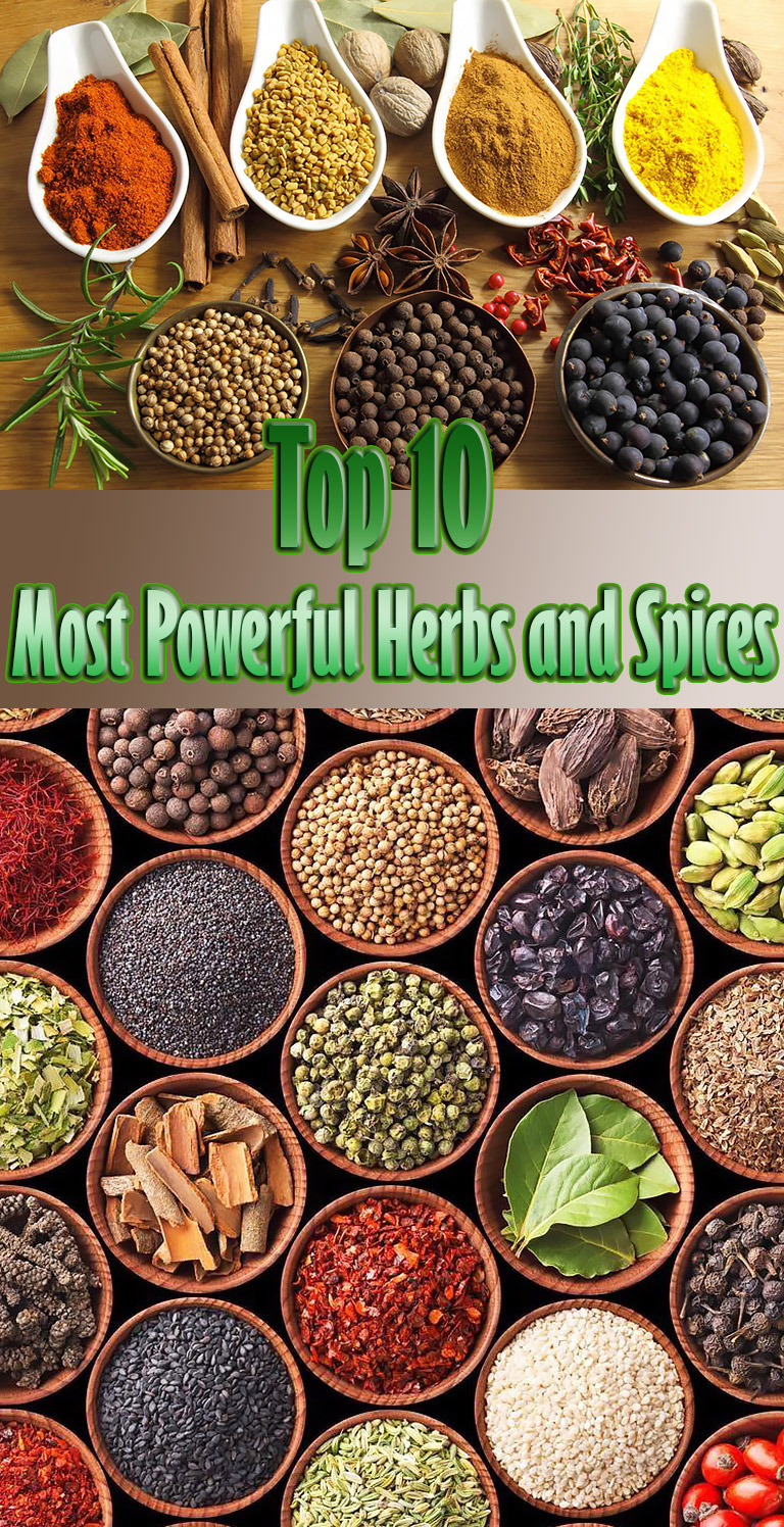 Top 10 Most Powerful Herbs and Spices