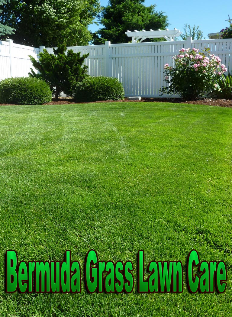 Bermuda Grass Lawn Care