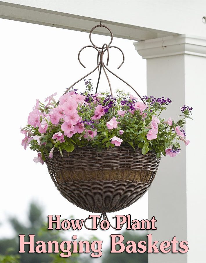 How To Plant Hanging Baskets and Containers