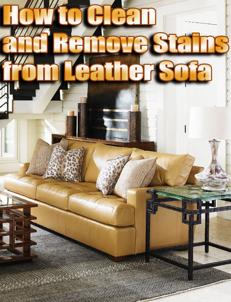 How to Clean and Remove Stains from Leather Sofa
