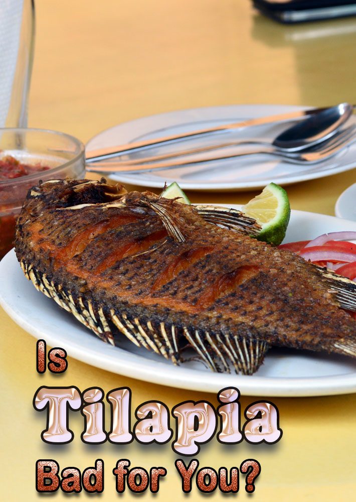 Is Tilapia Bad for You?