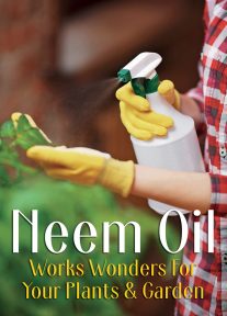 Neem Oil Works Wonders For Your Plants & Garden