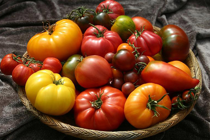 Top 10 Heirloom Tomatoes for the Garden