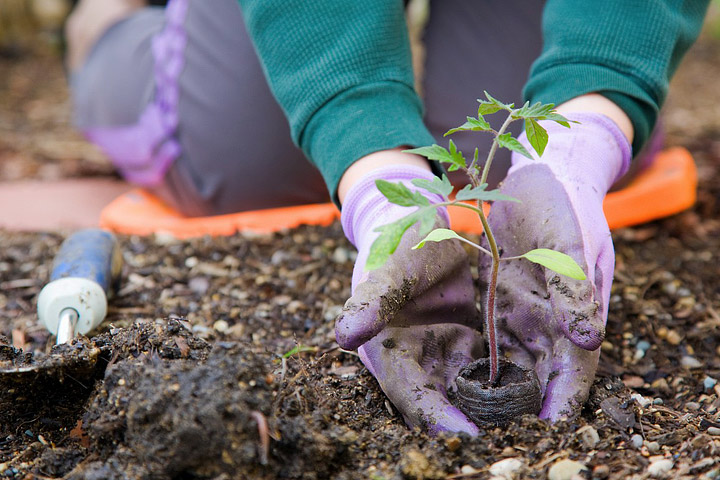 Better Gardening Through Science