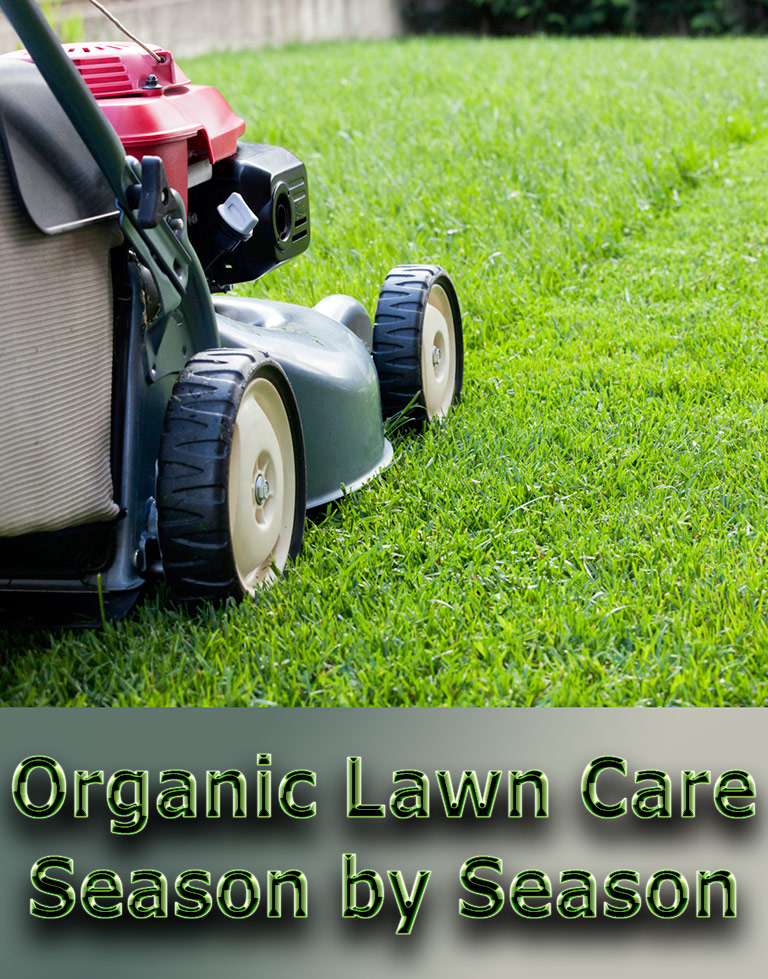Organic Lawn Care: Season by Season