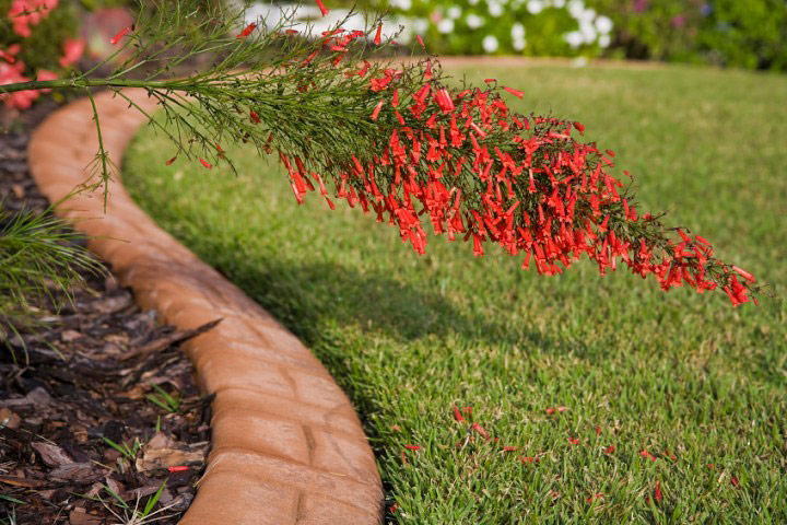 Flowerbed Edging: What to Know