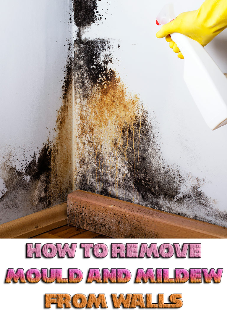 How to Remove Mould and Mildew from Walls