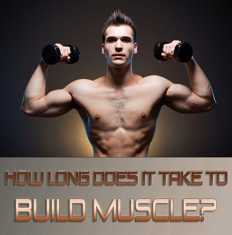 How Long Does It Take To Build Muscle?
