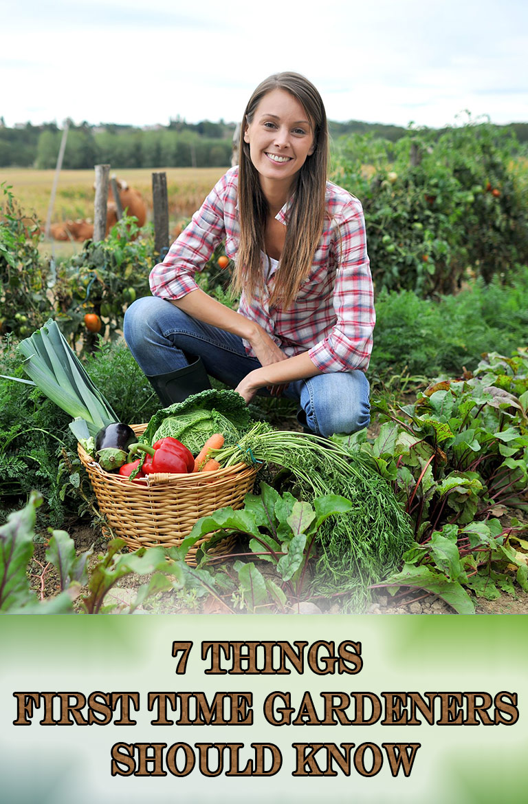 7 Things First Time Gardeners Should Know