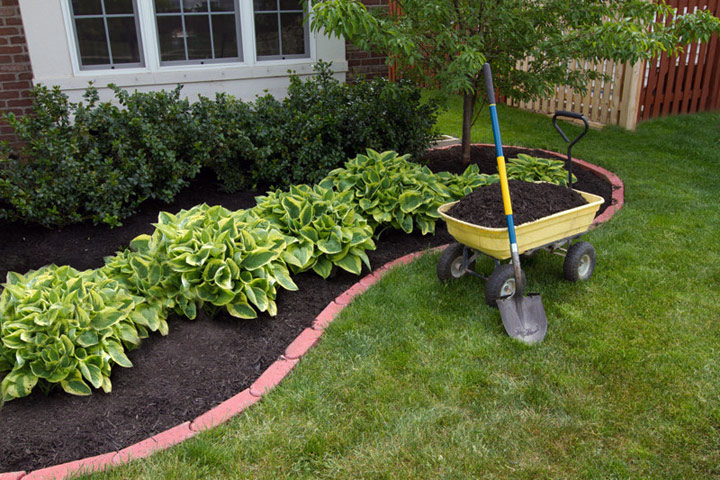 Mulch Buying Guide - Learn About Types of Mulch