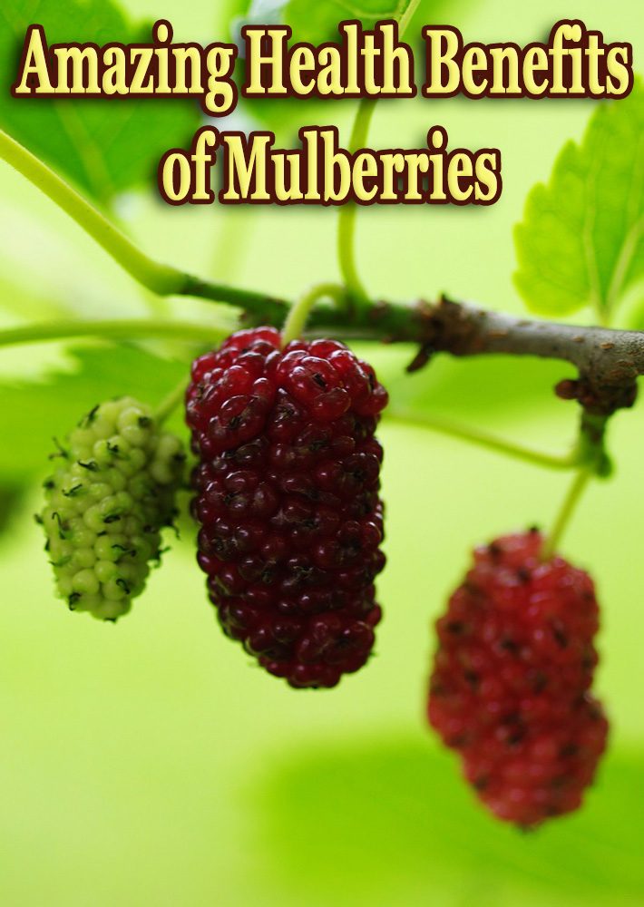 Amazing Health Benefits of Mulberries