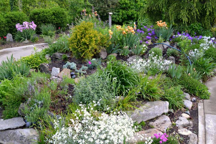 Build a Rock Garden