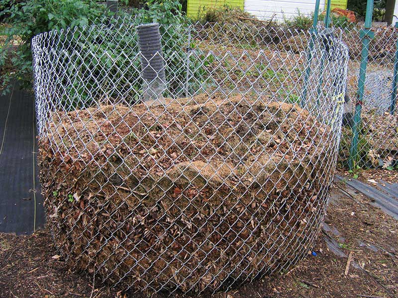 Leaf liter mulch - Ourfigs.com