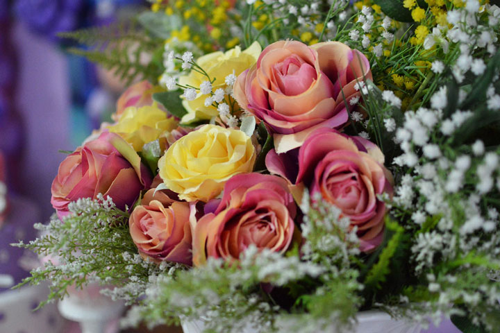 Cut Flowers - Bouquets and Flower Arrangements