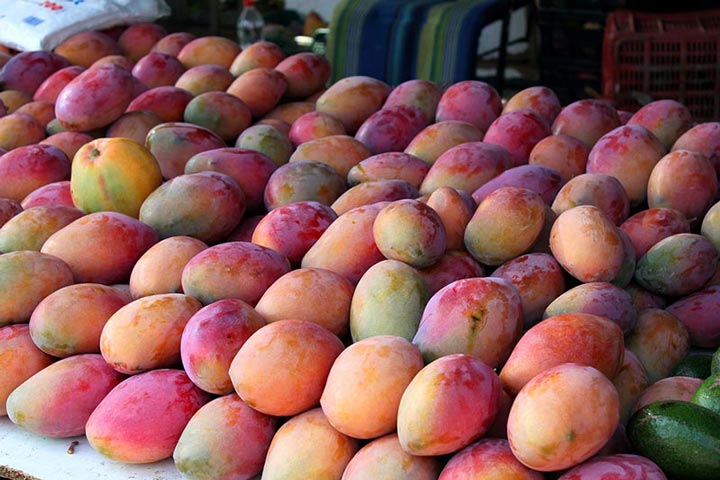 Five Reasons to Eat Mangoes Daily