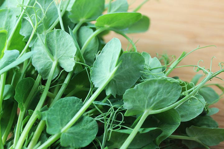 Grow Sweet Tender Pea Shoots in Just Two Weeks