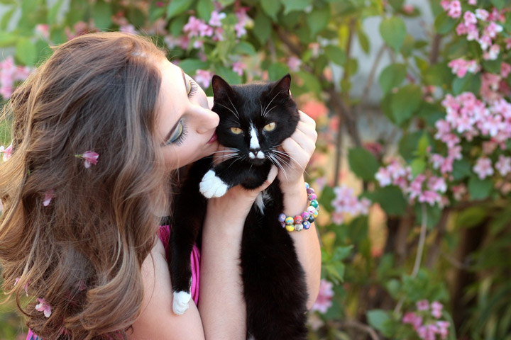 Happy International Cat Day 10 Signs Your Cat Is Your Best Friend!