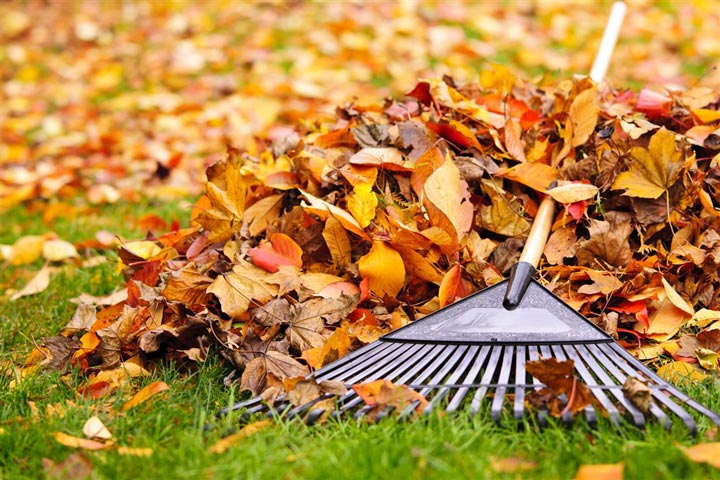 How To Prepare Lawn For Fall