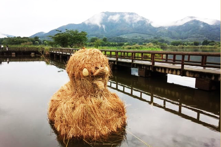 Leftover Straw Makes For Awesome Art